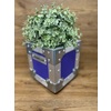 Flightcase Plant Pot In Purple 